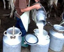 Швидке зростання цін на молоко робить переробку нерентабельною